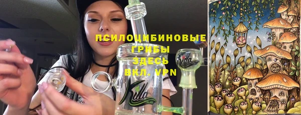 a pvp Алексин