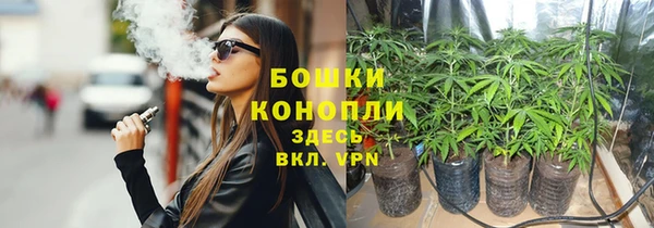 гашик Остров